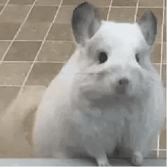 迷你糊-
