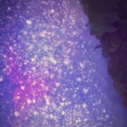 Neko-就是猫的意思