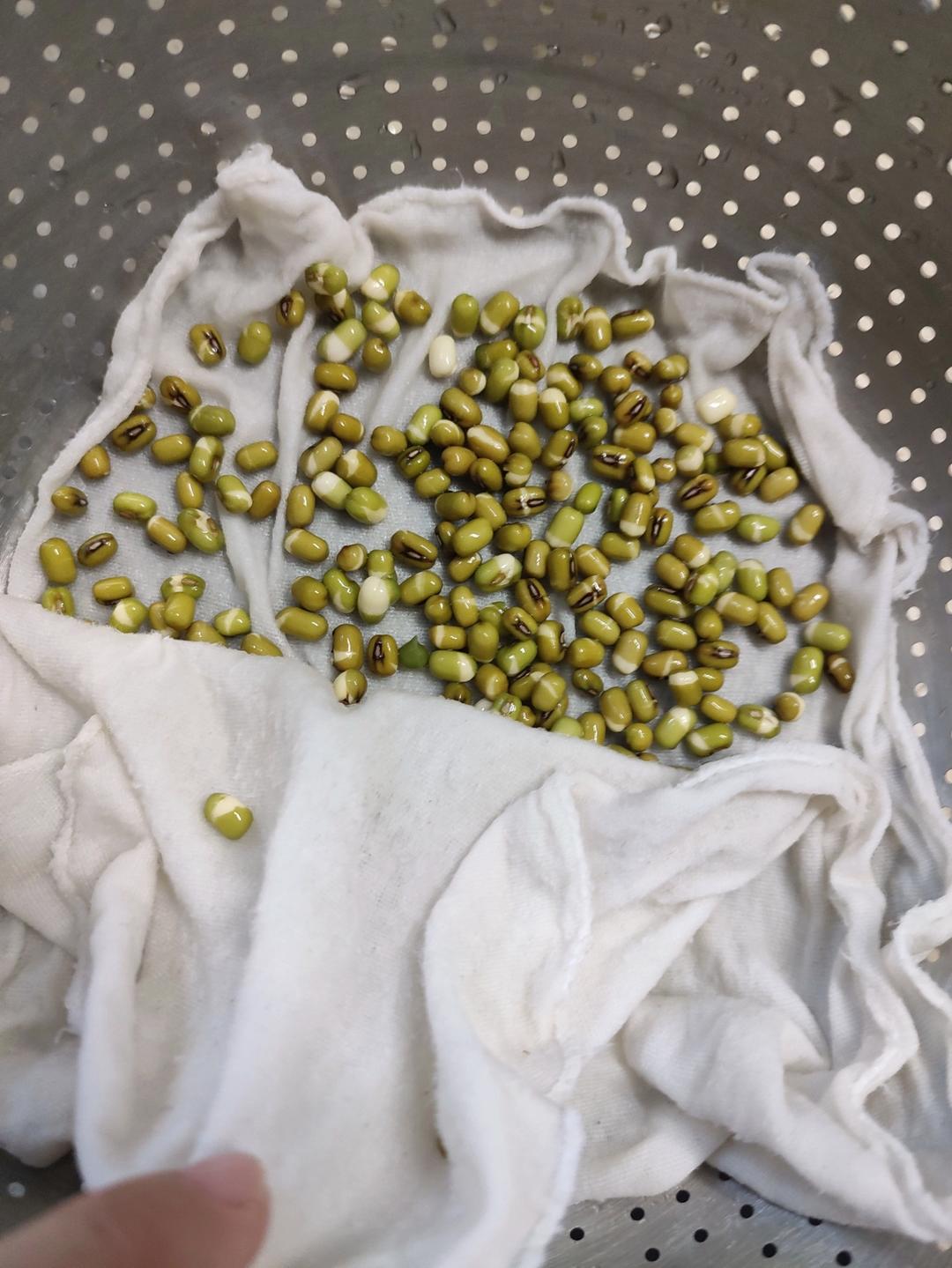 豆芽机豆芽