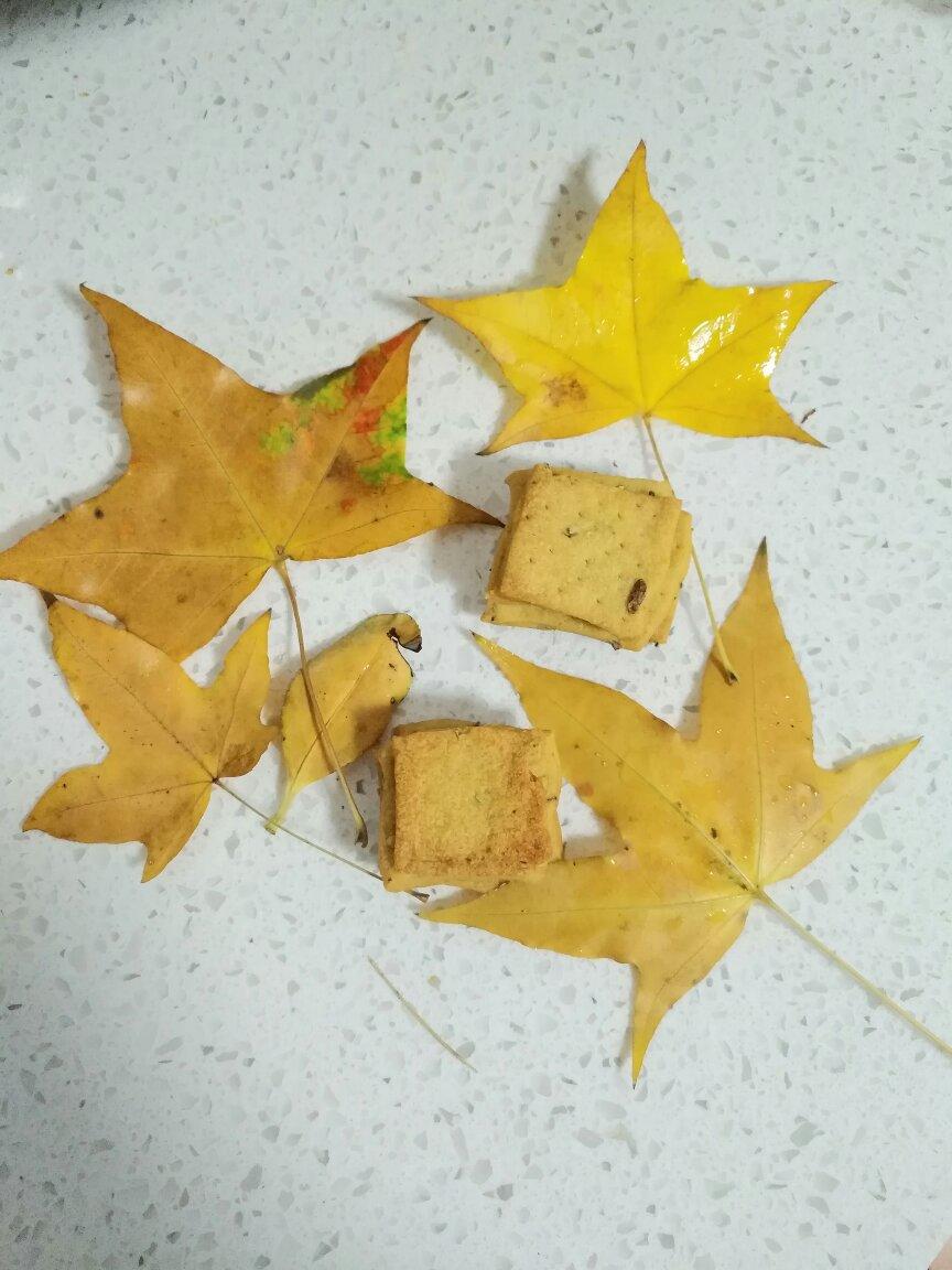 橄榄油迷迭香脆饼