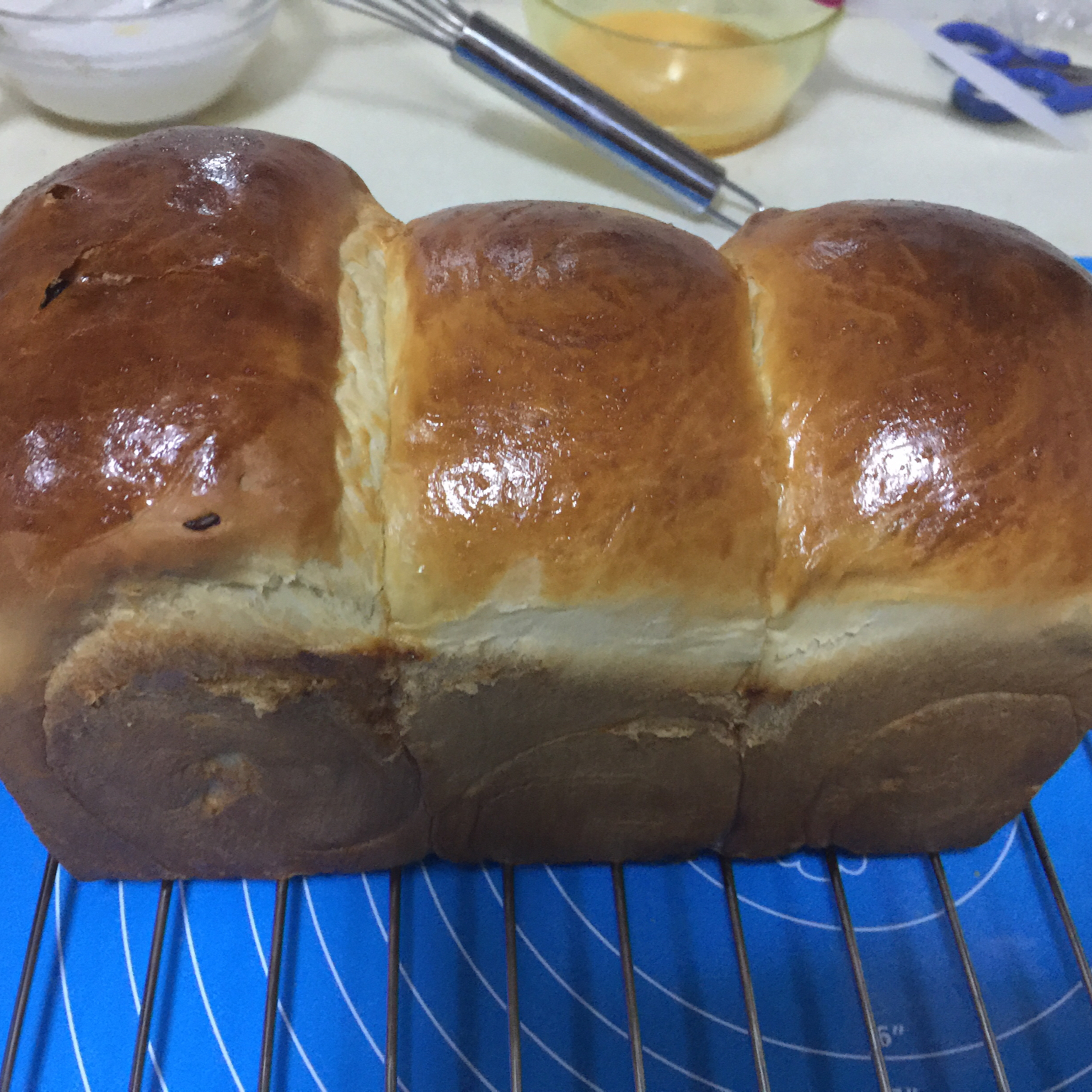 基础面包制作 Basic Bread (Loaf&Roll)