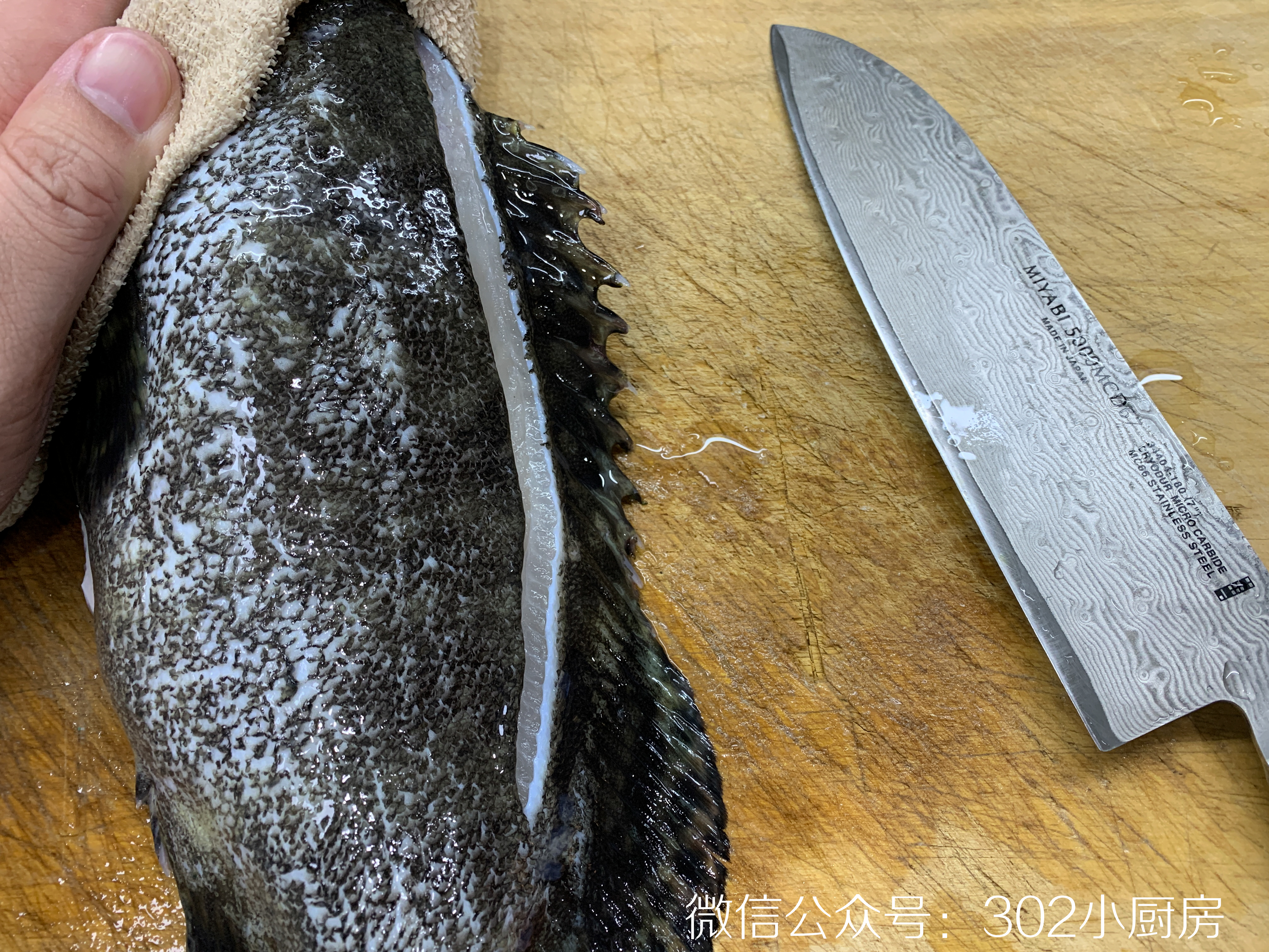 【0444】清蒸石斑鱼（含蒸鱼豉油做法） <302小厨房>的做法 步骤11