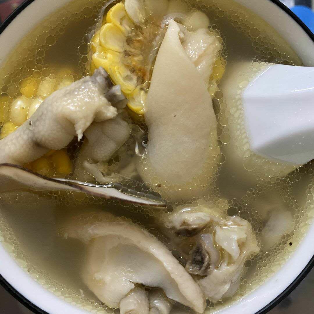 鸡爪玉米海底椰响螺片汤