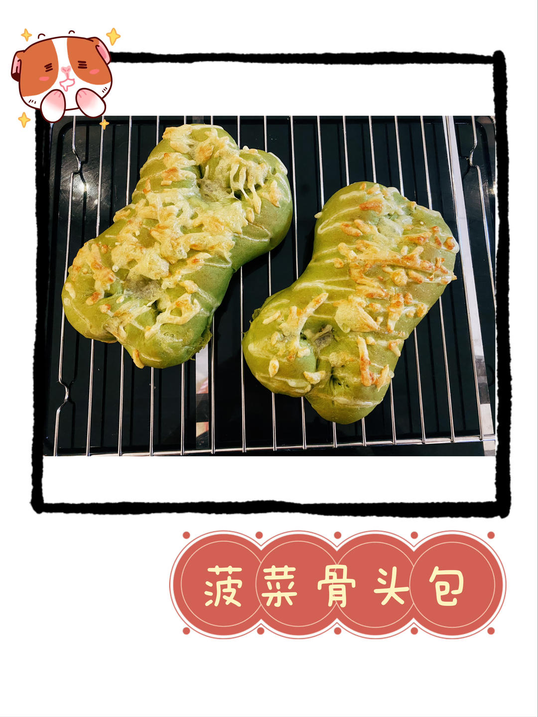 ✨塞班骨头包🐶菠菜肉松的奇妙相遇记📗