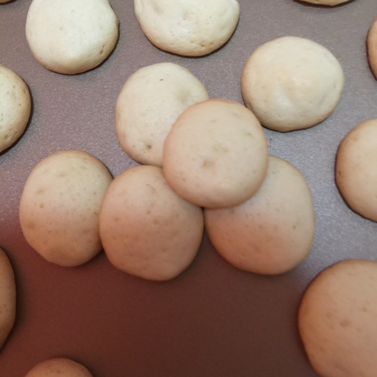 酥脆蛋香小饼干