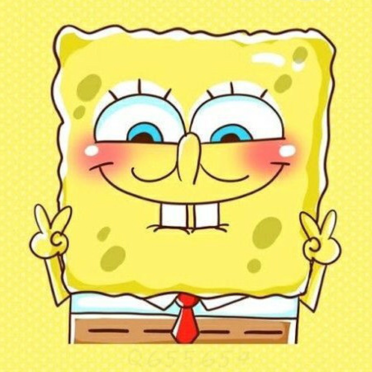 海绵宝宝宝