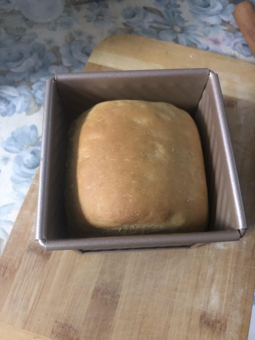 100%全麦鸡蛋吐司 直接法 王后细麸细粒 纯全麦依然软到下腰