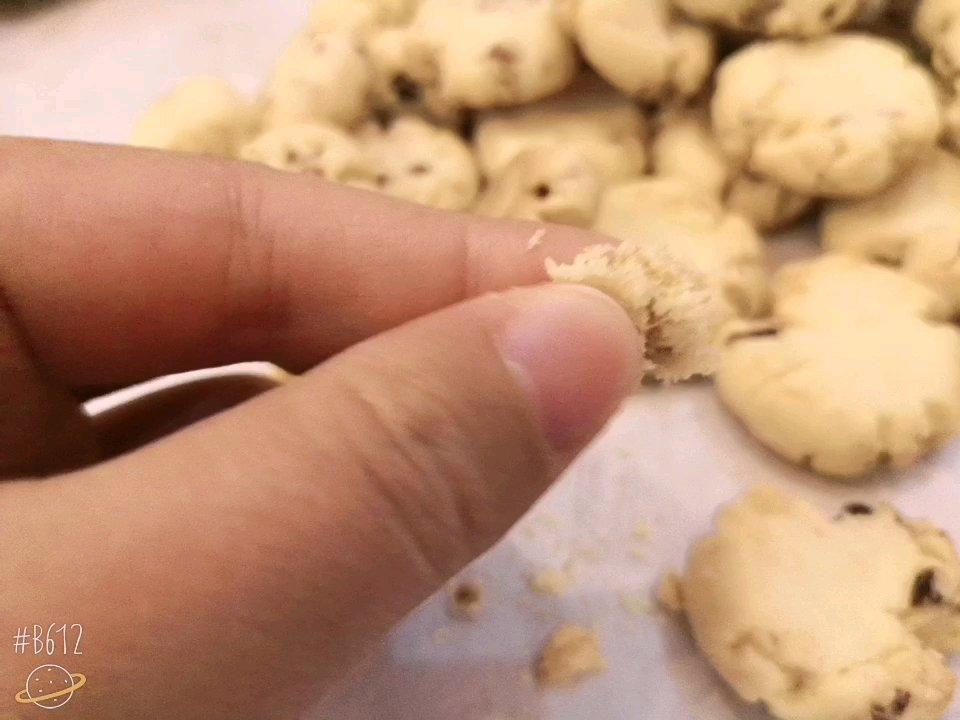 低糖版·酥掉渣）蔓越莓玛格丽特曲奇·宝宝辅食 零食