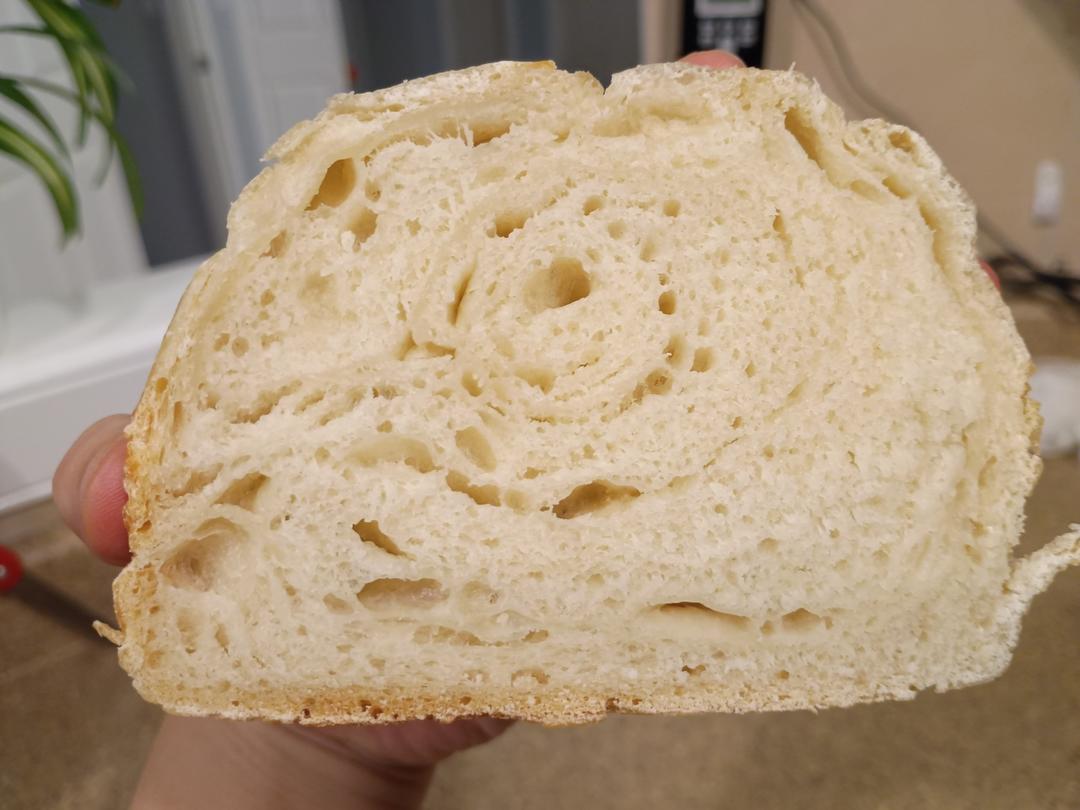 天然鲁邦酸种•三明治吐司面包〔硬欧包〕