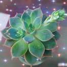 小小_3dn9