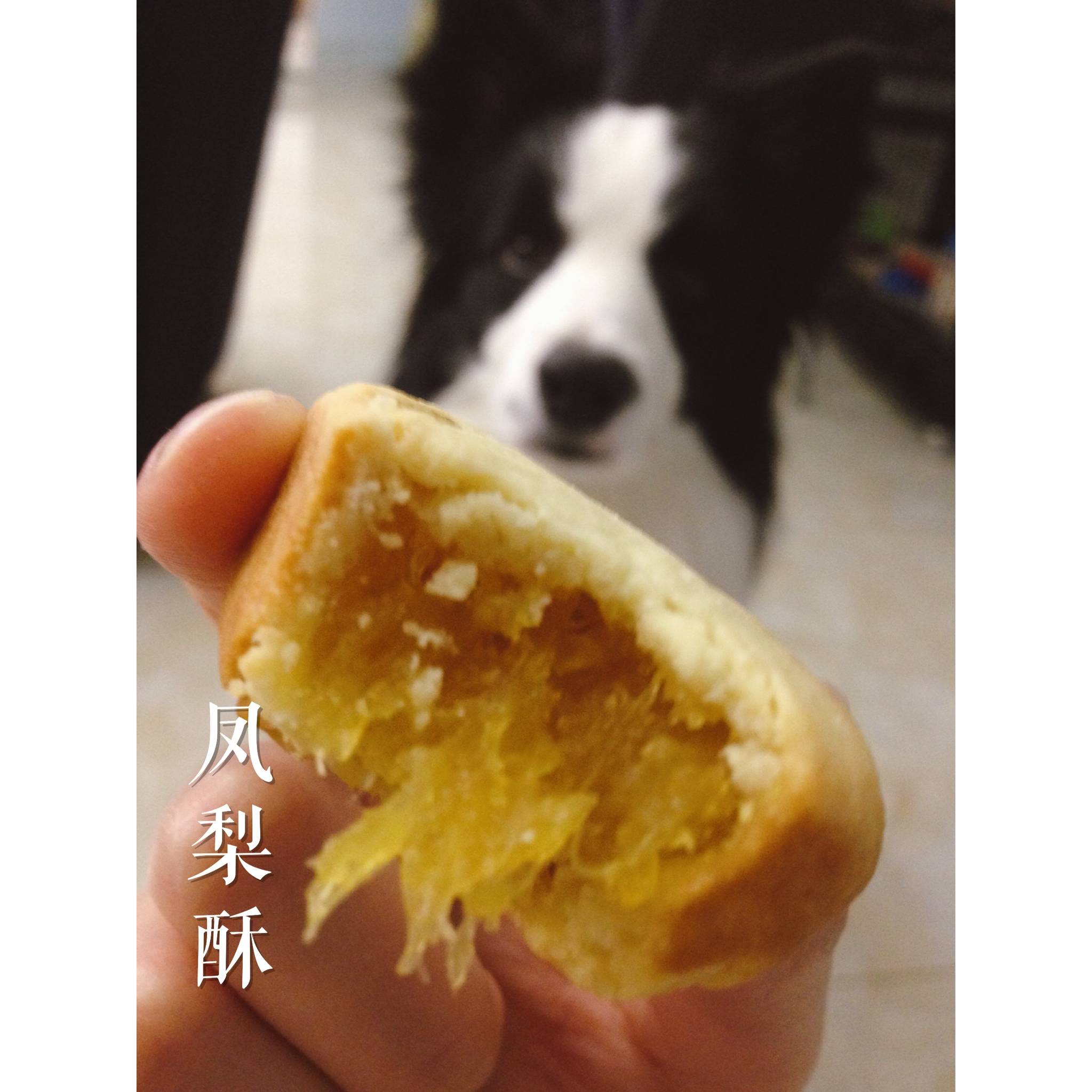 土凤梨酥（纯凤梨酥）