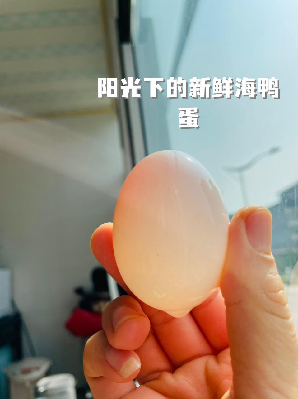 最详细的蛋黄酥（广式月饼🥮）方子修订版（新手必看）