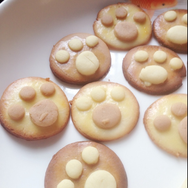 猫爪饼干