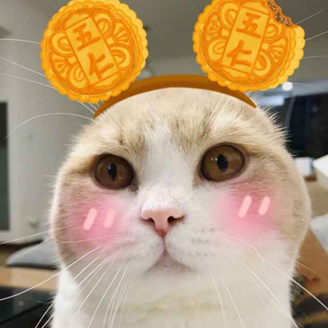 花旗袍