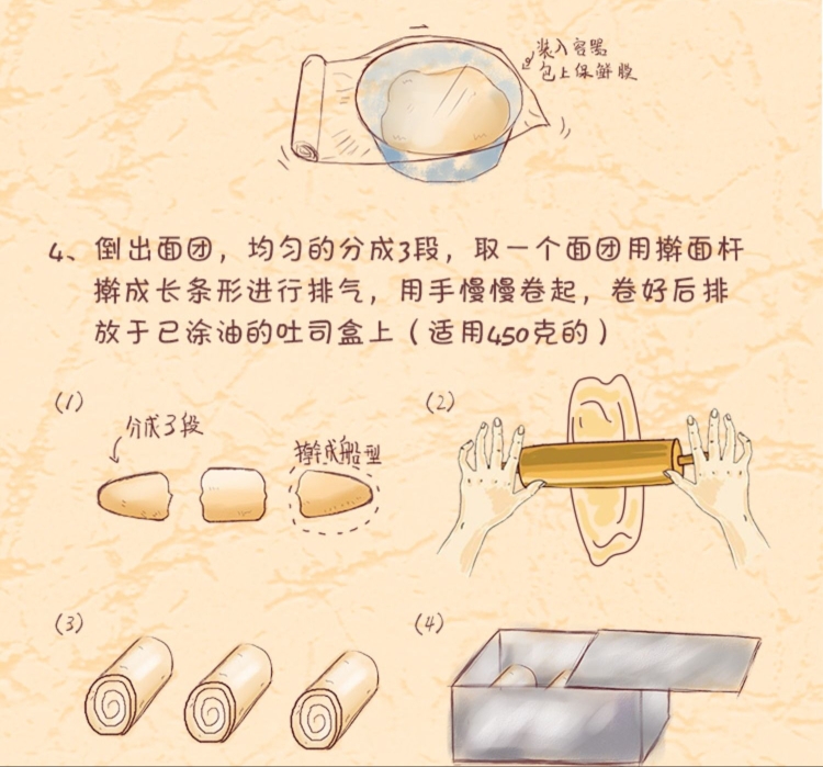 白燕高筋粉土司的做法 步骤3