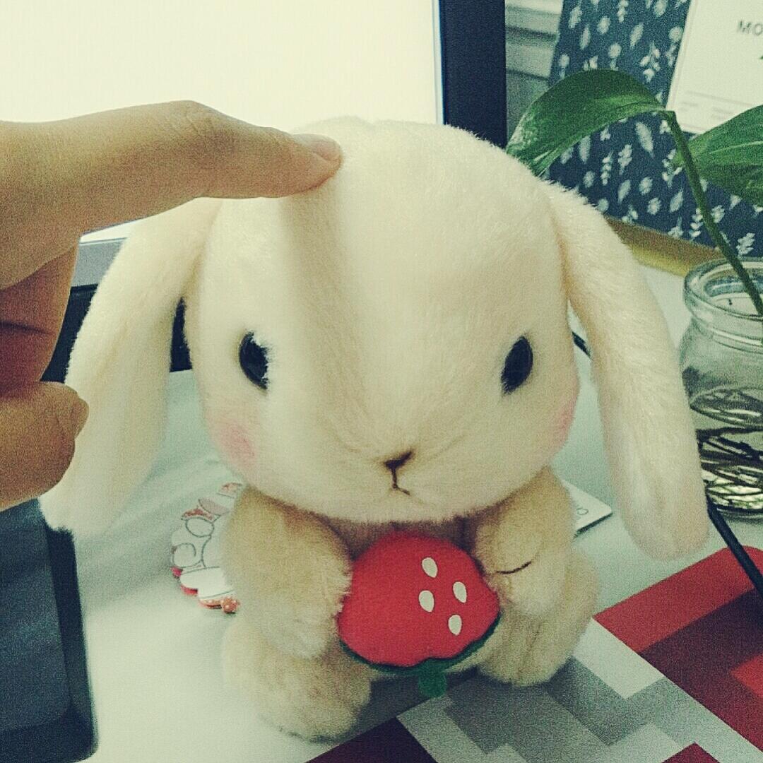 懒秤子要学做菜