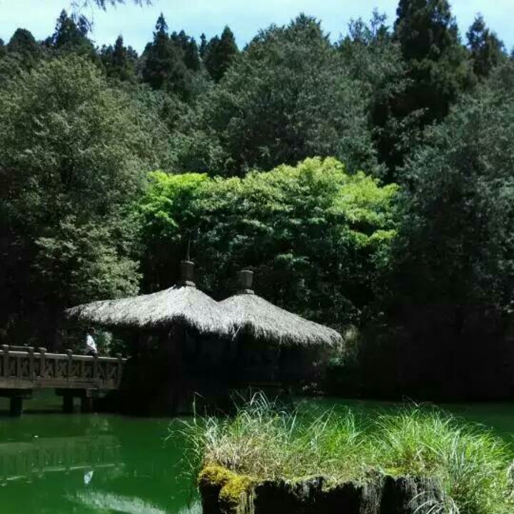 乱入