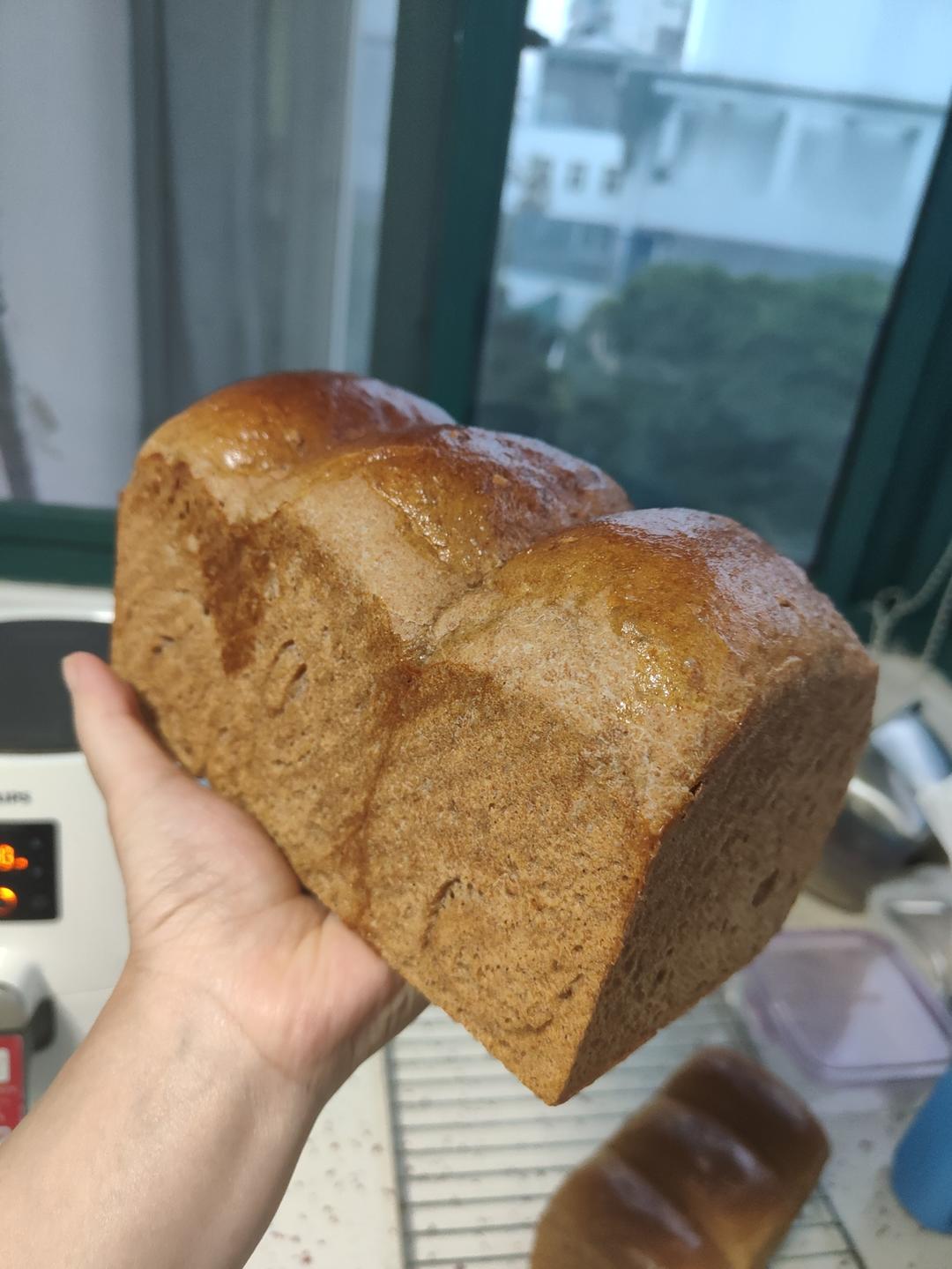 100%纯全麦吐司 汤种全麦