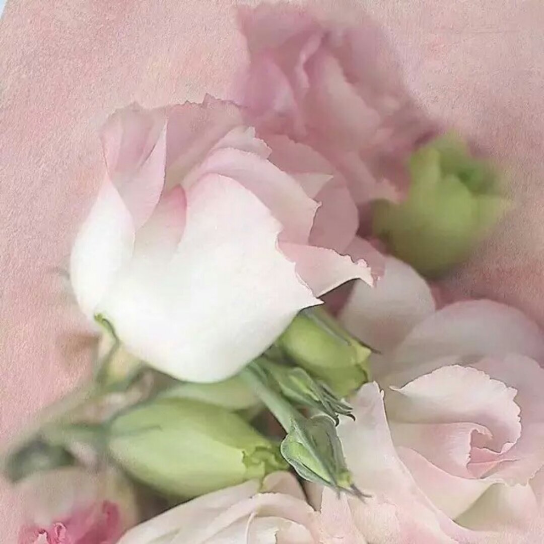 蕙妤