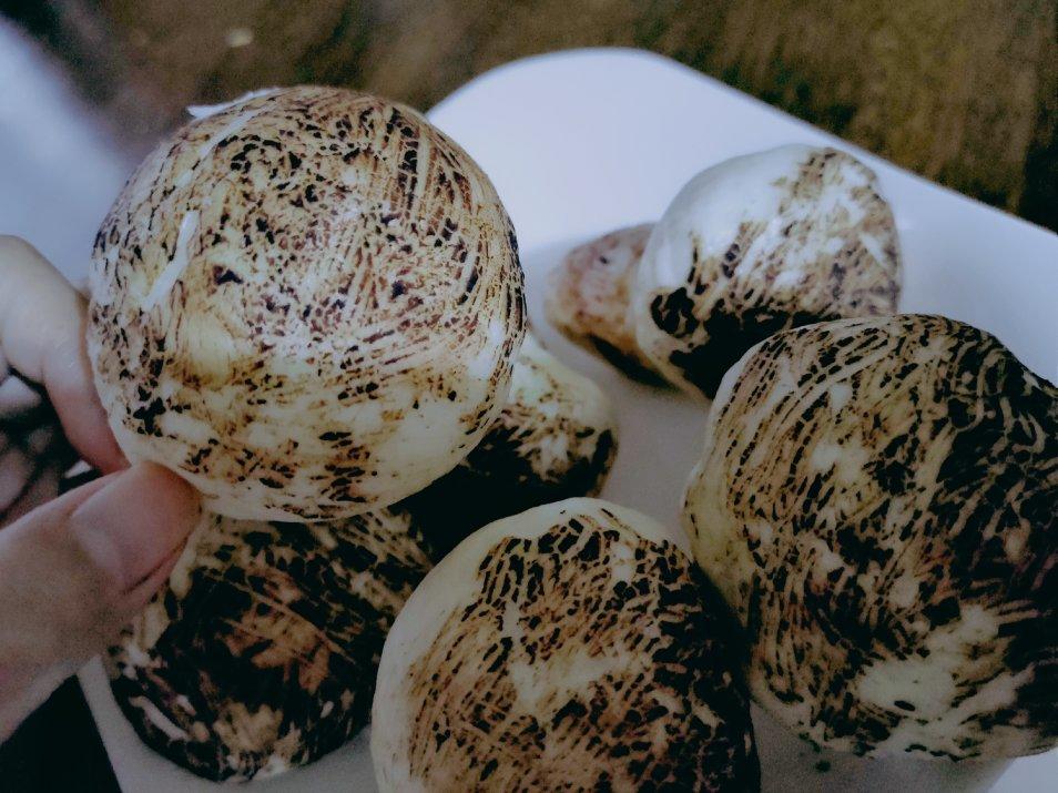 造型馒头（蘑菇）
