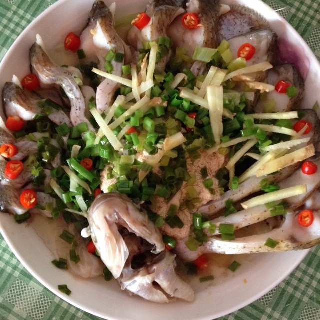 孔雀开屏武昌鱼