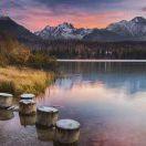 wanglao5