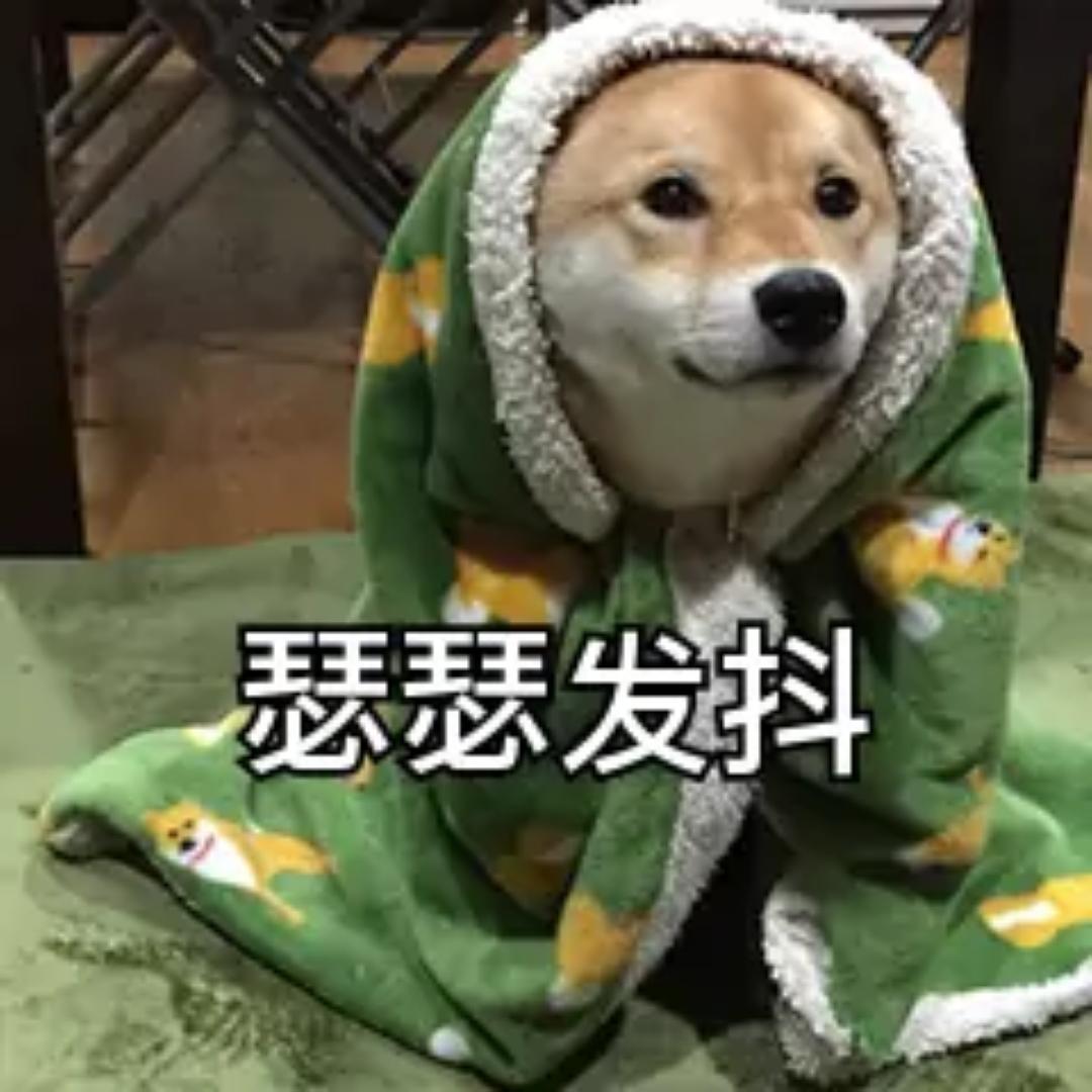 专宠女友的业余厨师