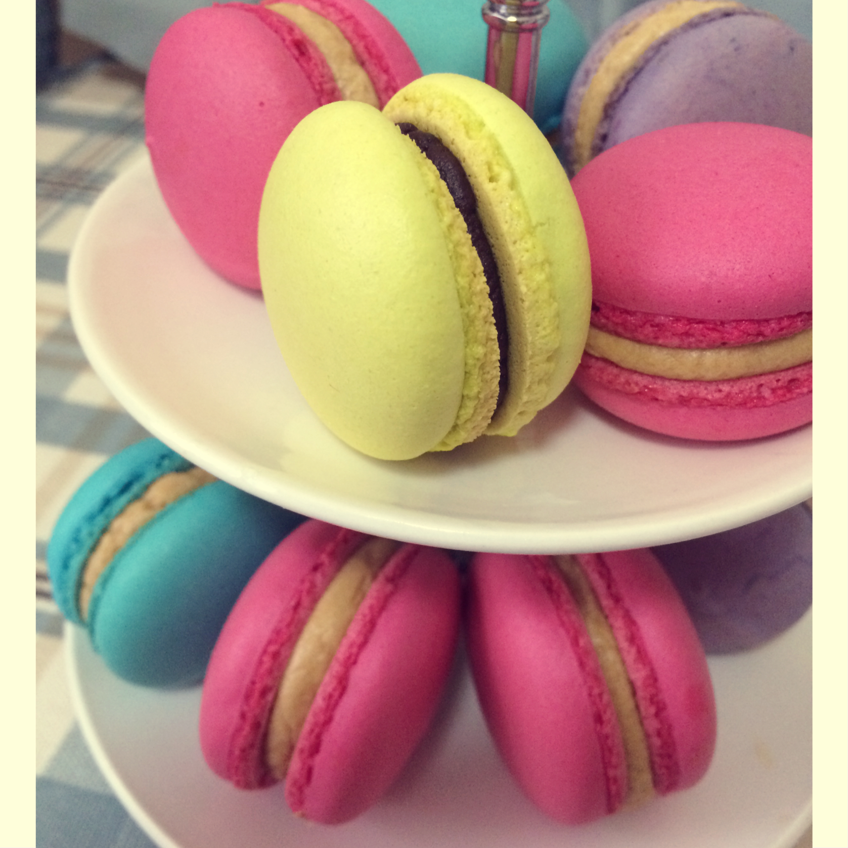 三个橙子意式马卡龙教程