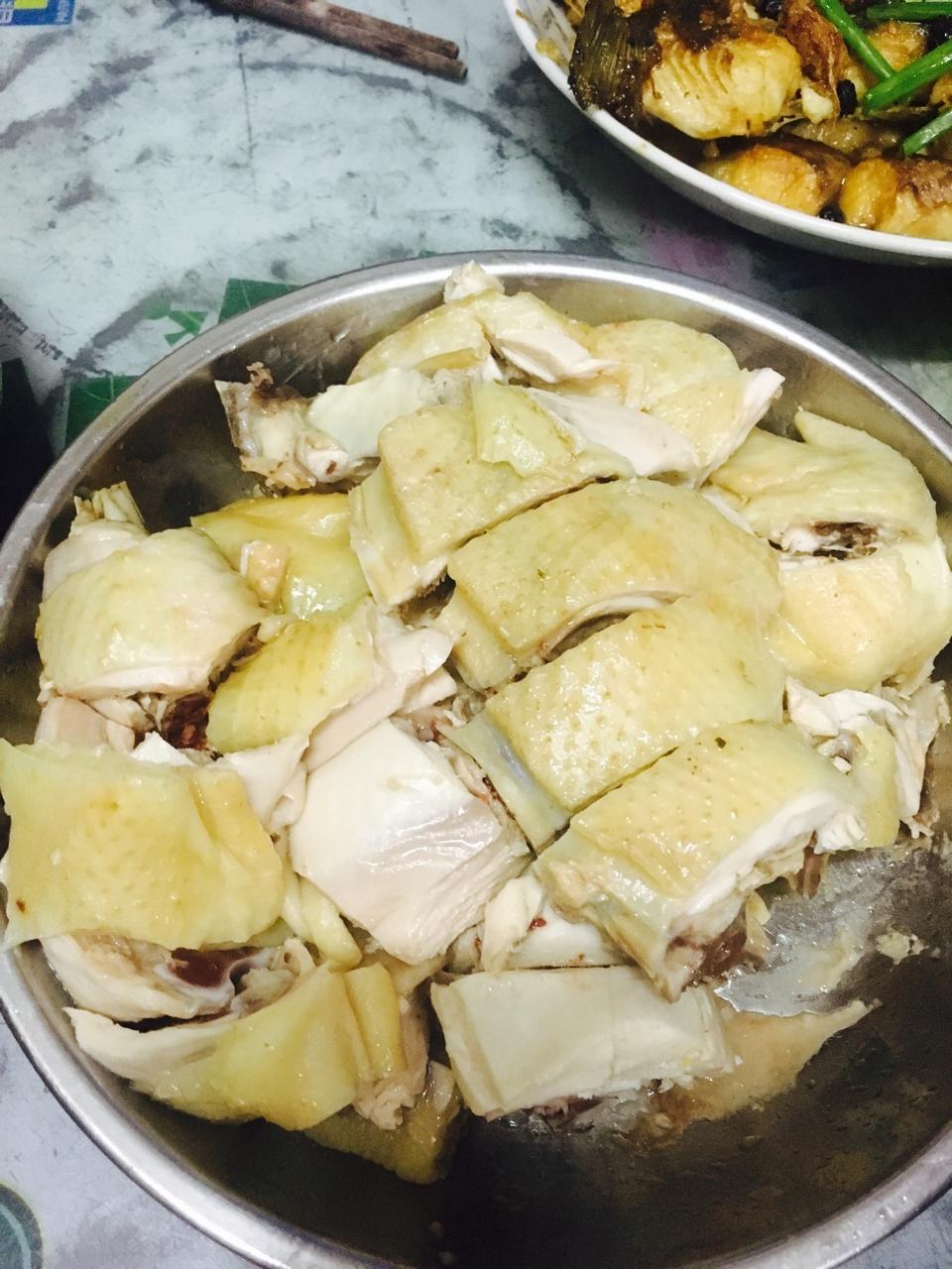 兔兔jy做的白切鸡