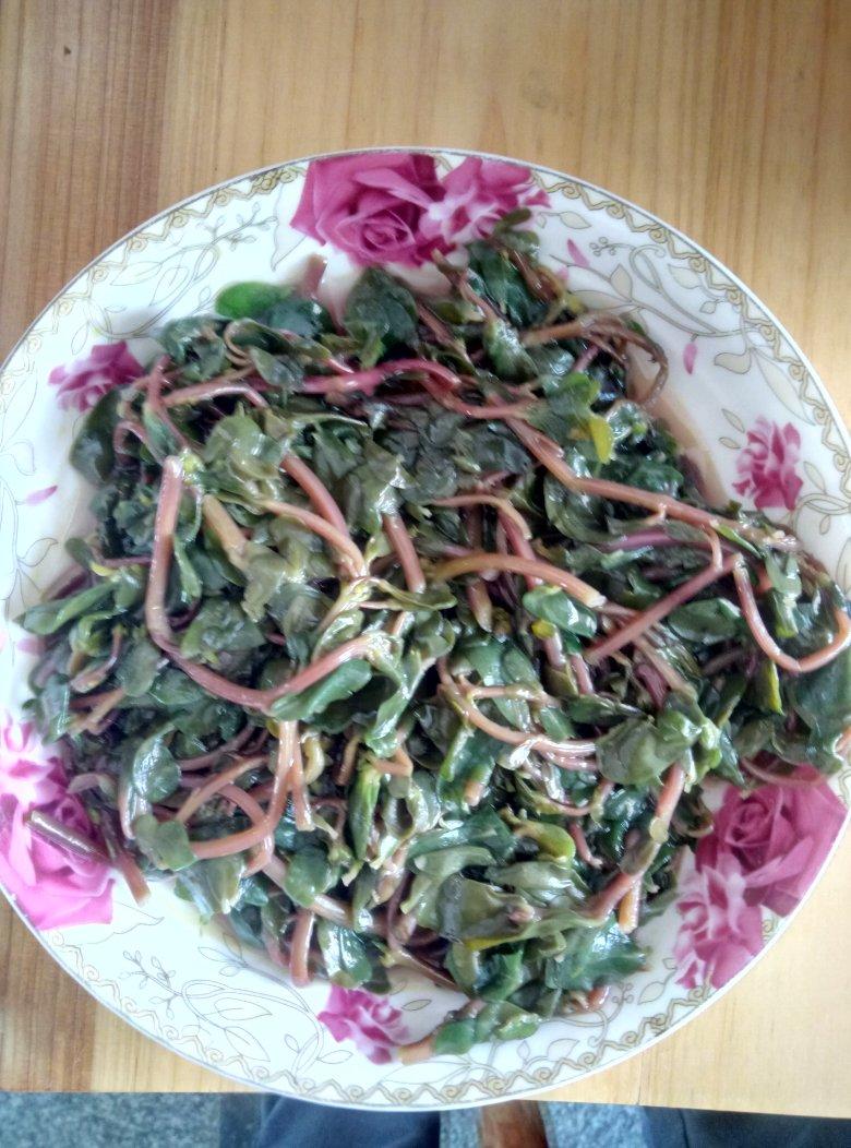 爱民520做的清炒马齿苋