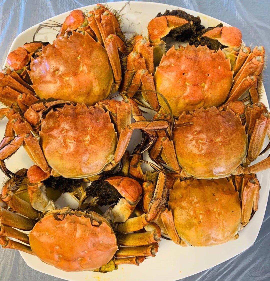 清蒸大闸蟹