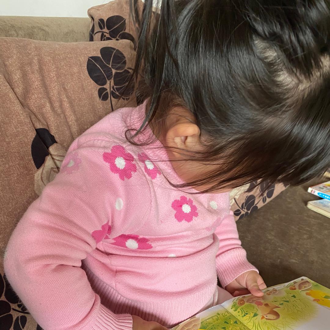 鱼爸爸的Wing妈妈