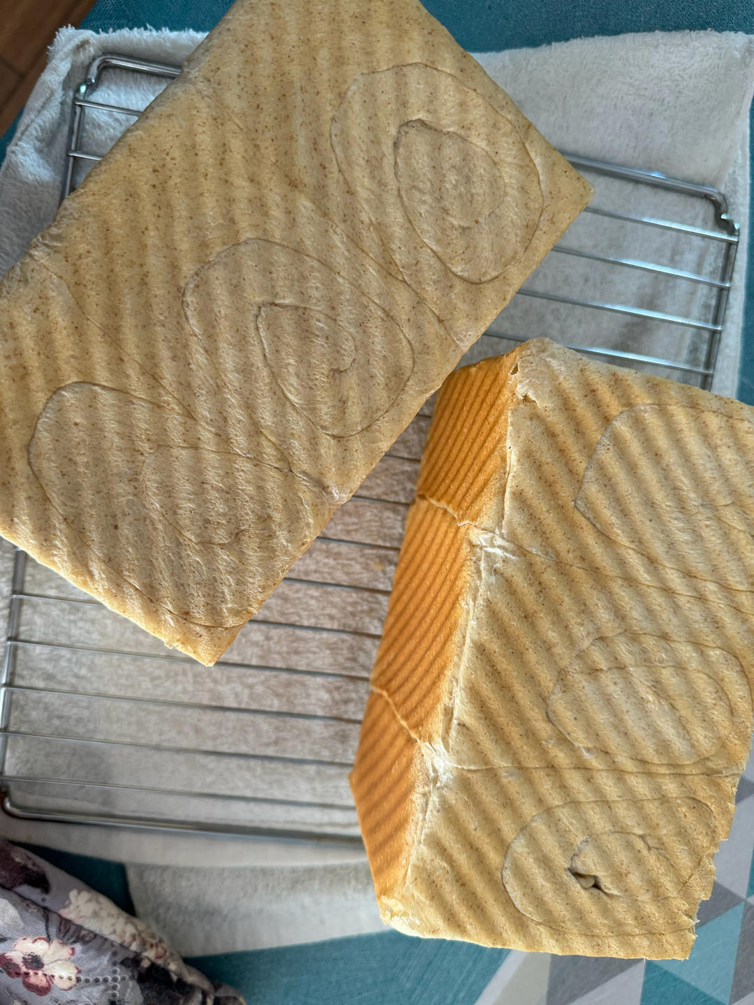 全麦吐司(波兰种)
