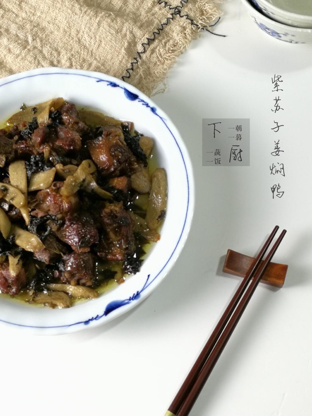 紫苏子姜焖鸭的做法