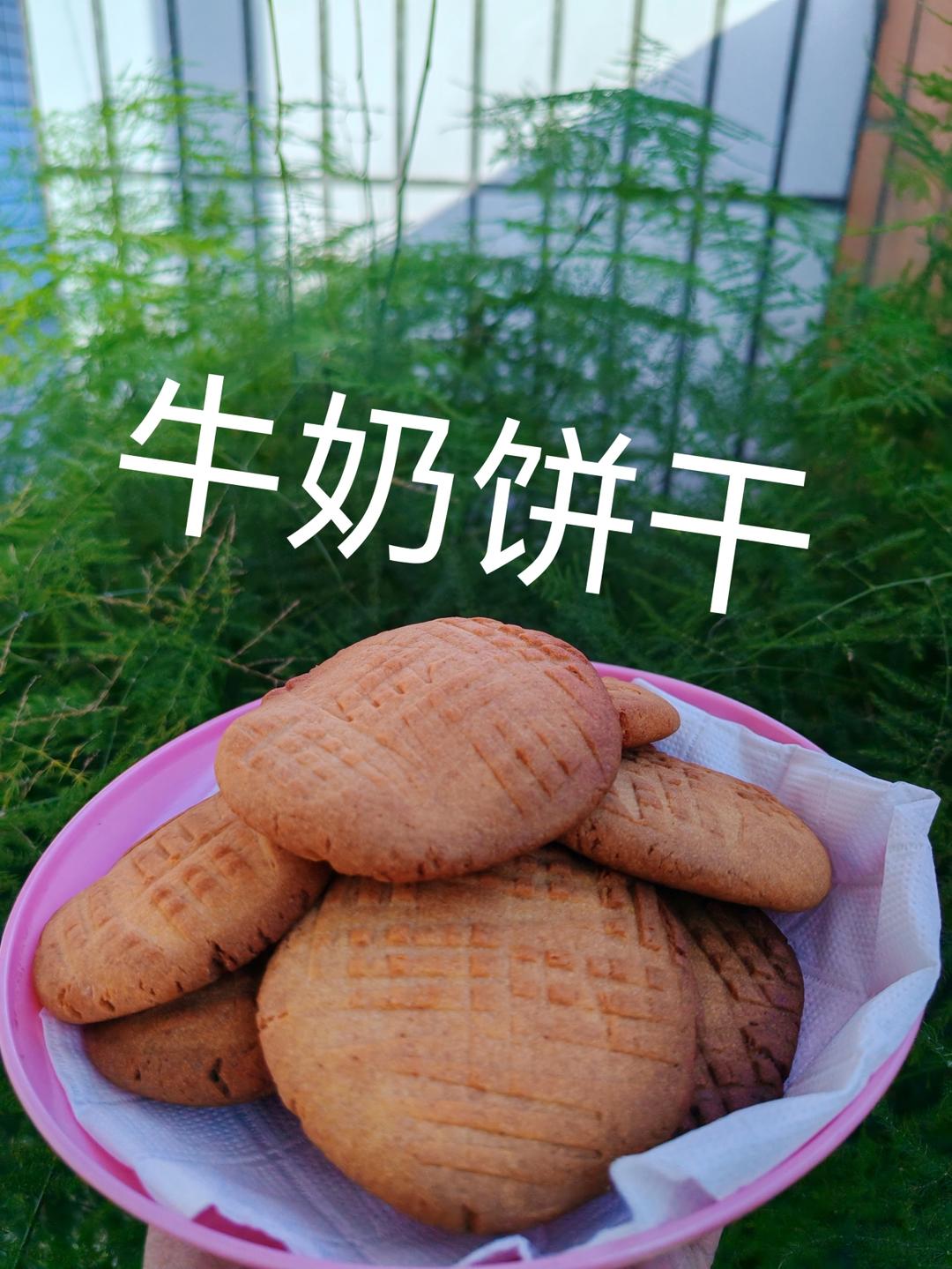 牛奶饼干