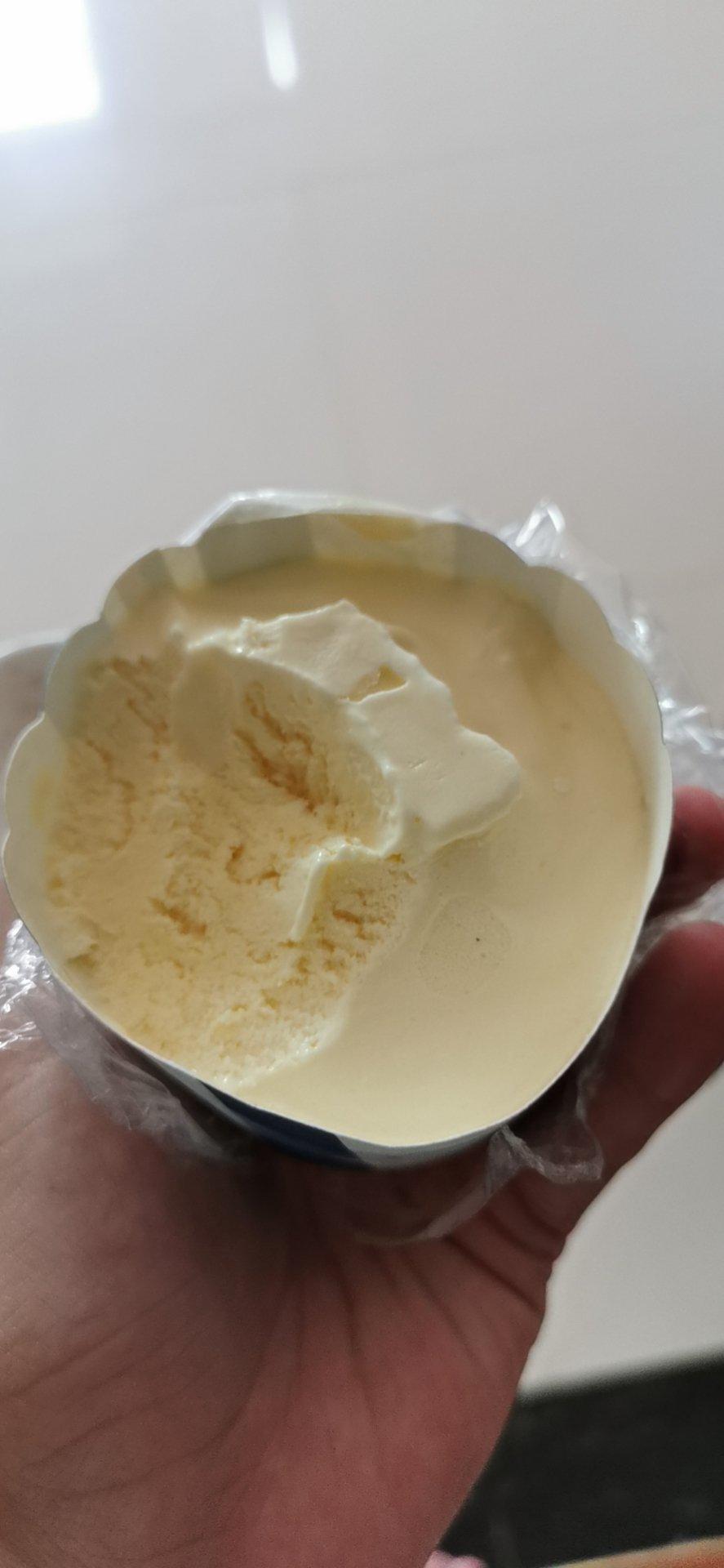 自制冰淇淋，味道堪比哈根达斯，动物奶油版