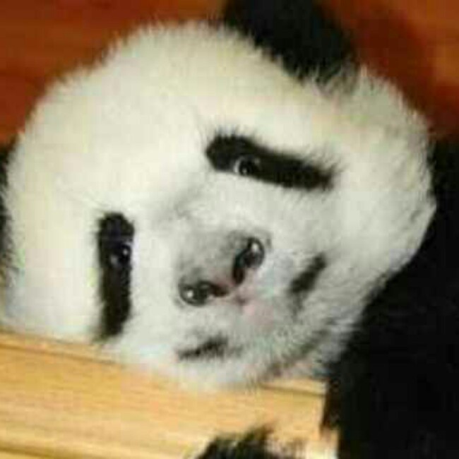 雪散