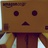 Shadow_Q-1