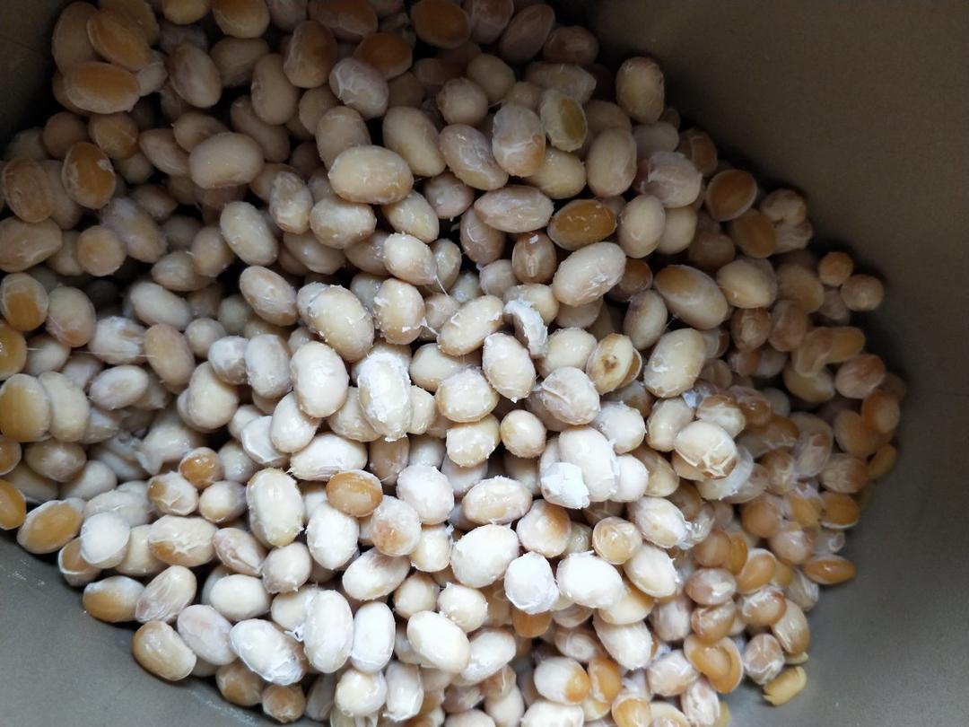 电饭锅面包机版纳豆