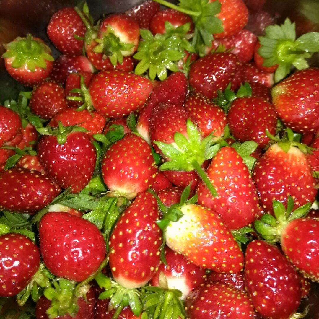 午餐•2016年12月17日