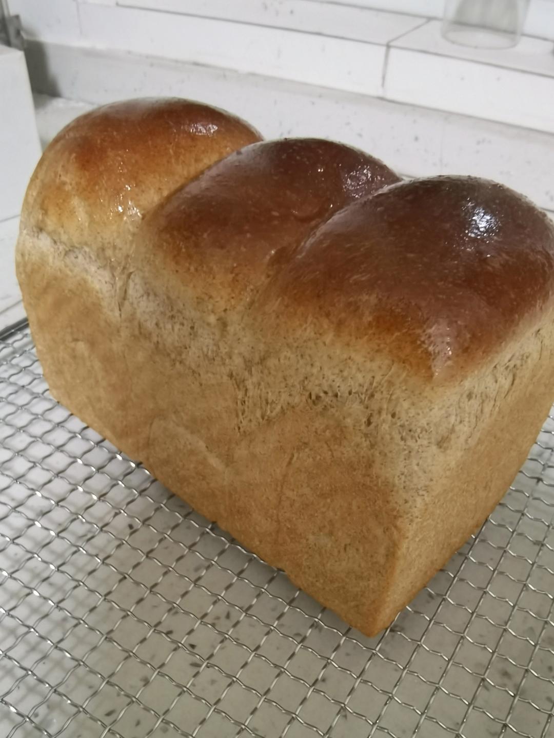 40%全麦吐司🍞（波兰种）