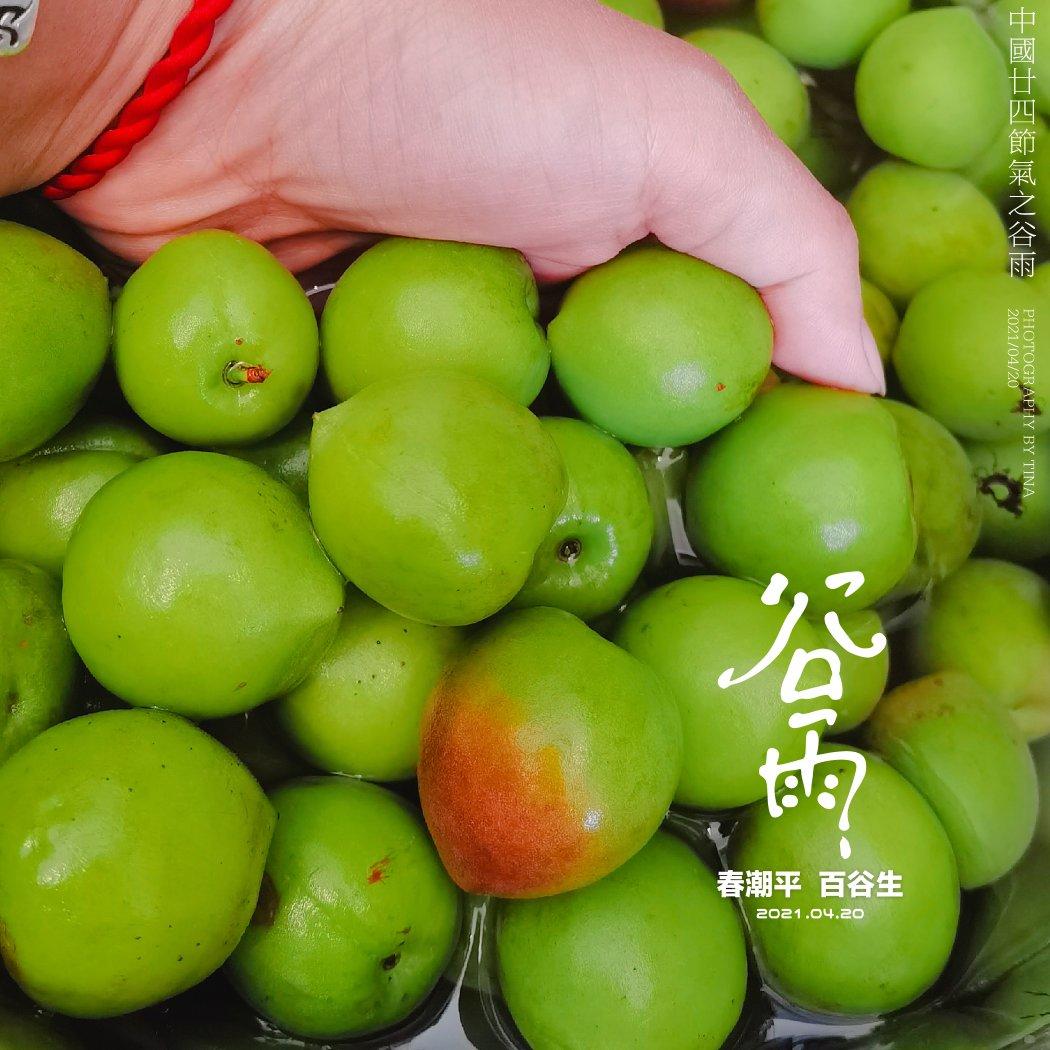 自制脆梅
