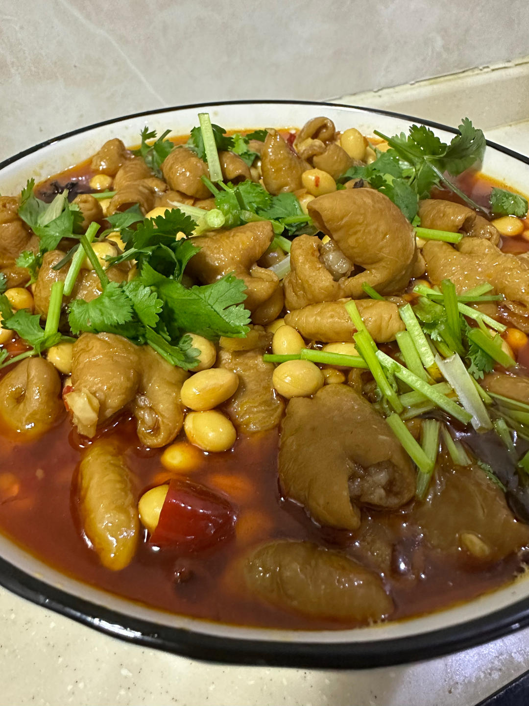 正宗重庆红烧肥肠