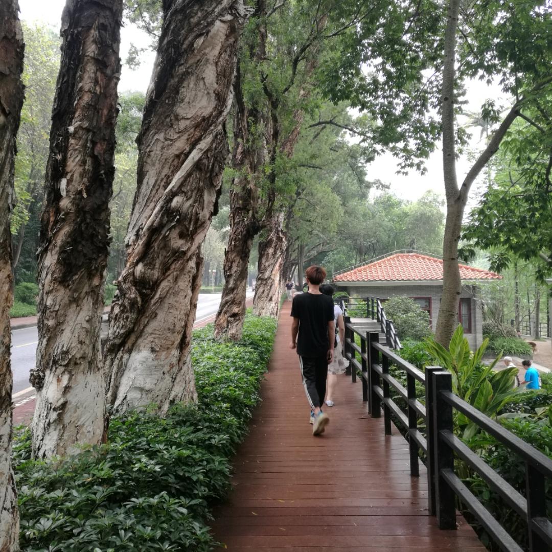 我的厨房我当家