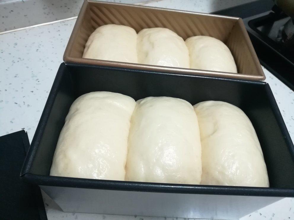 🌟只需一发的软妹子🌟奶香吐司🍞