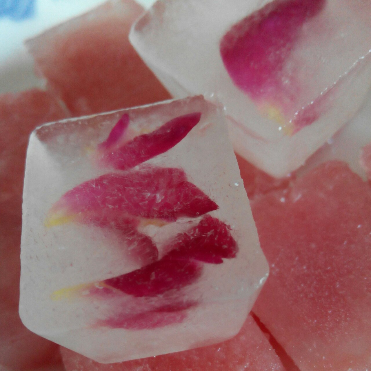 花花草草的世界