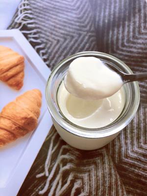自制酸奶，堪比卡士的浓稠老酸奶，太好吃啦！的做法 步骤11