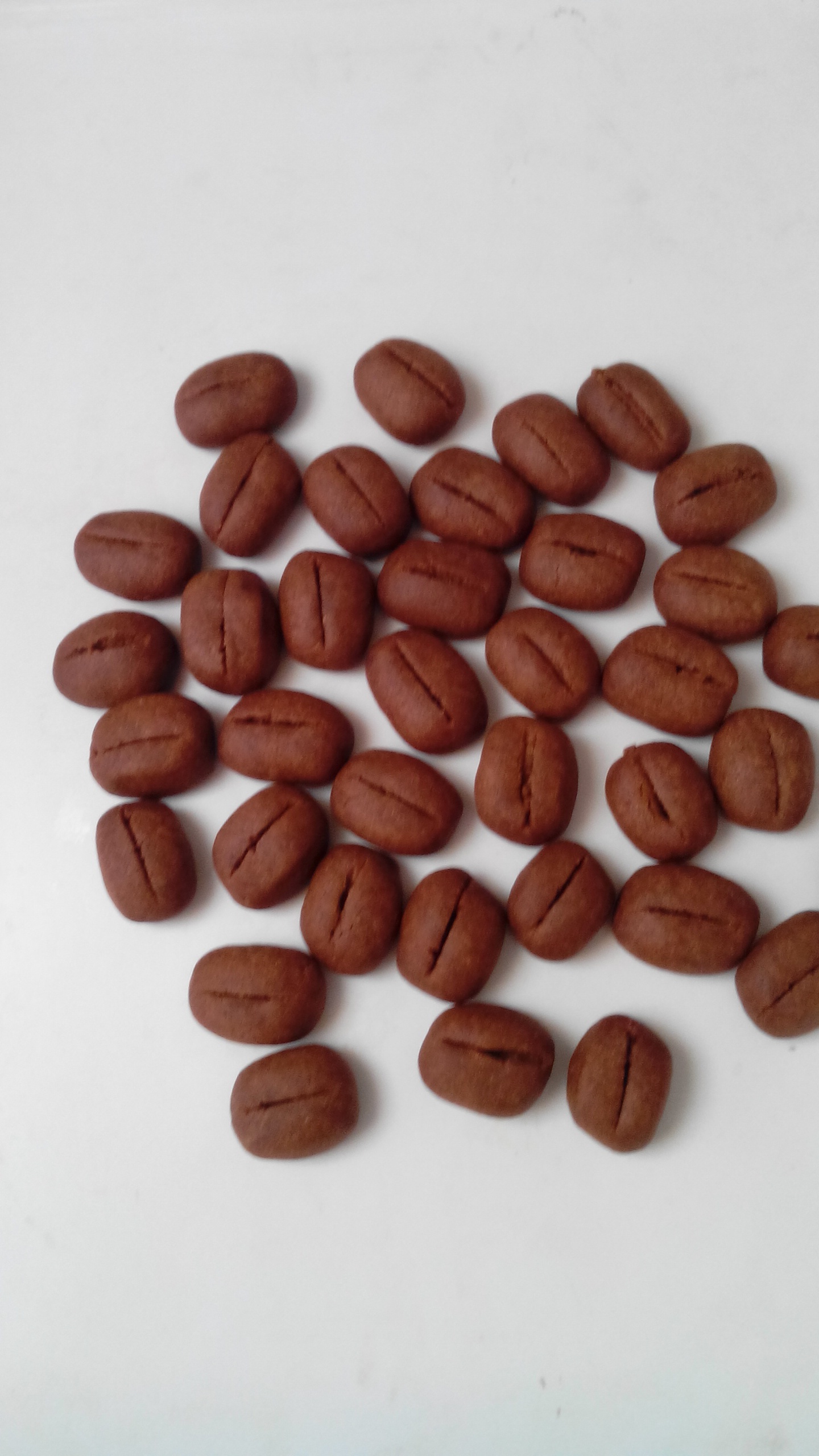 咖啡豆豆饼干
