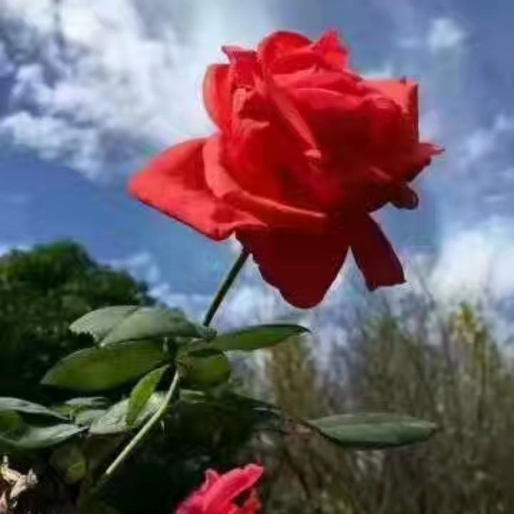 英英私房菜