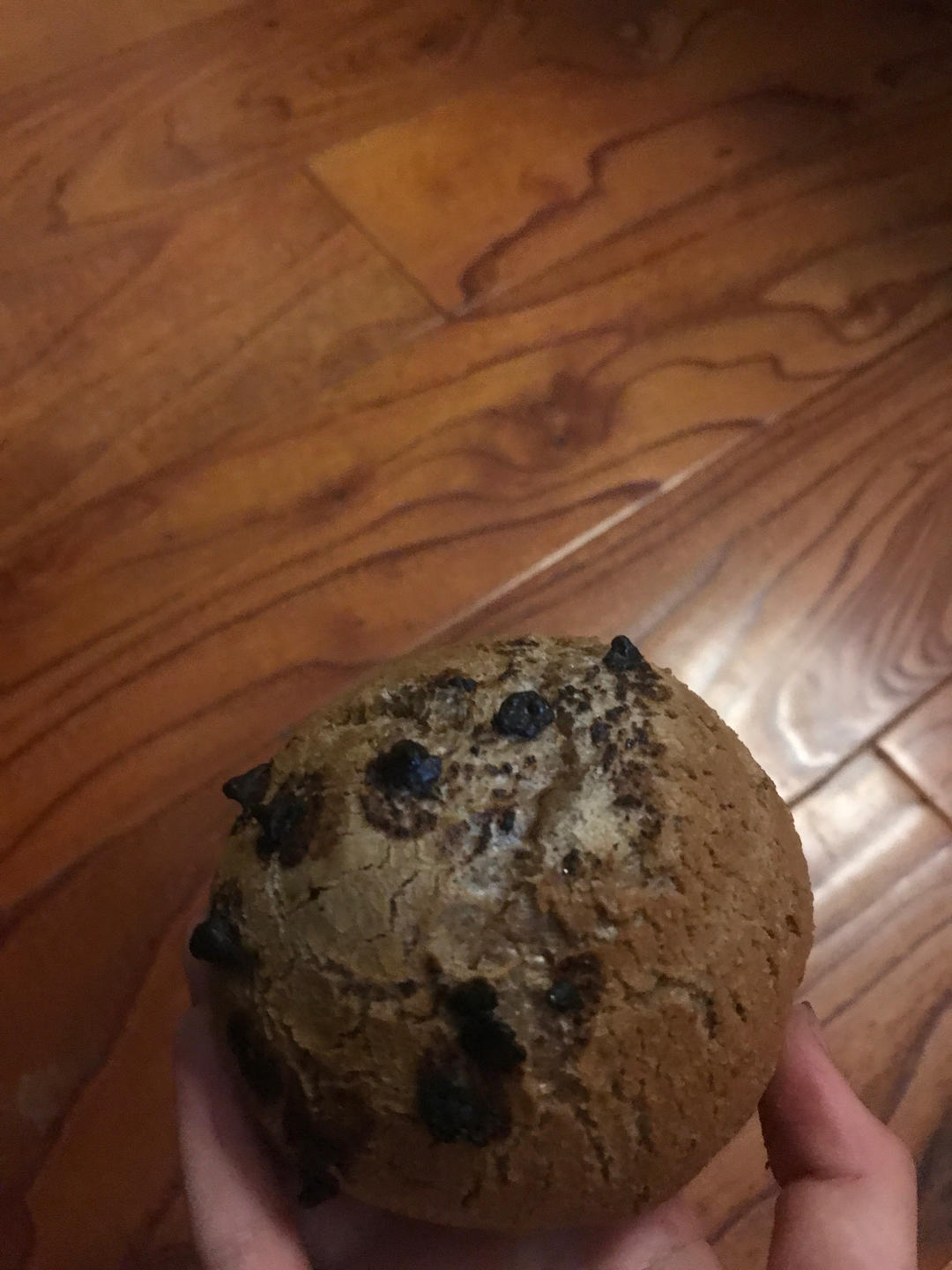 【 可可巧克力麻薯包 】